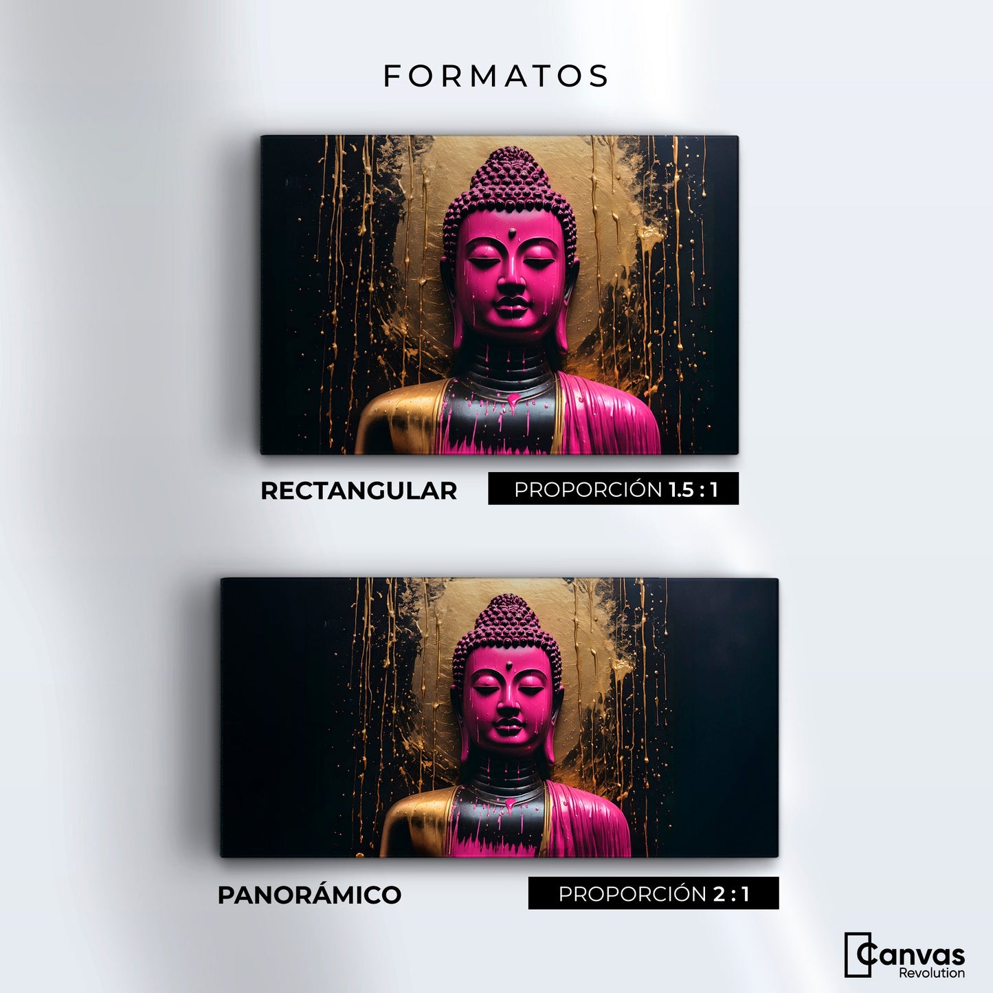 Cuadros Decorativos Canvas Revolution | Meditacion Vibrante | Formatos