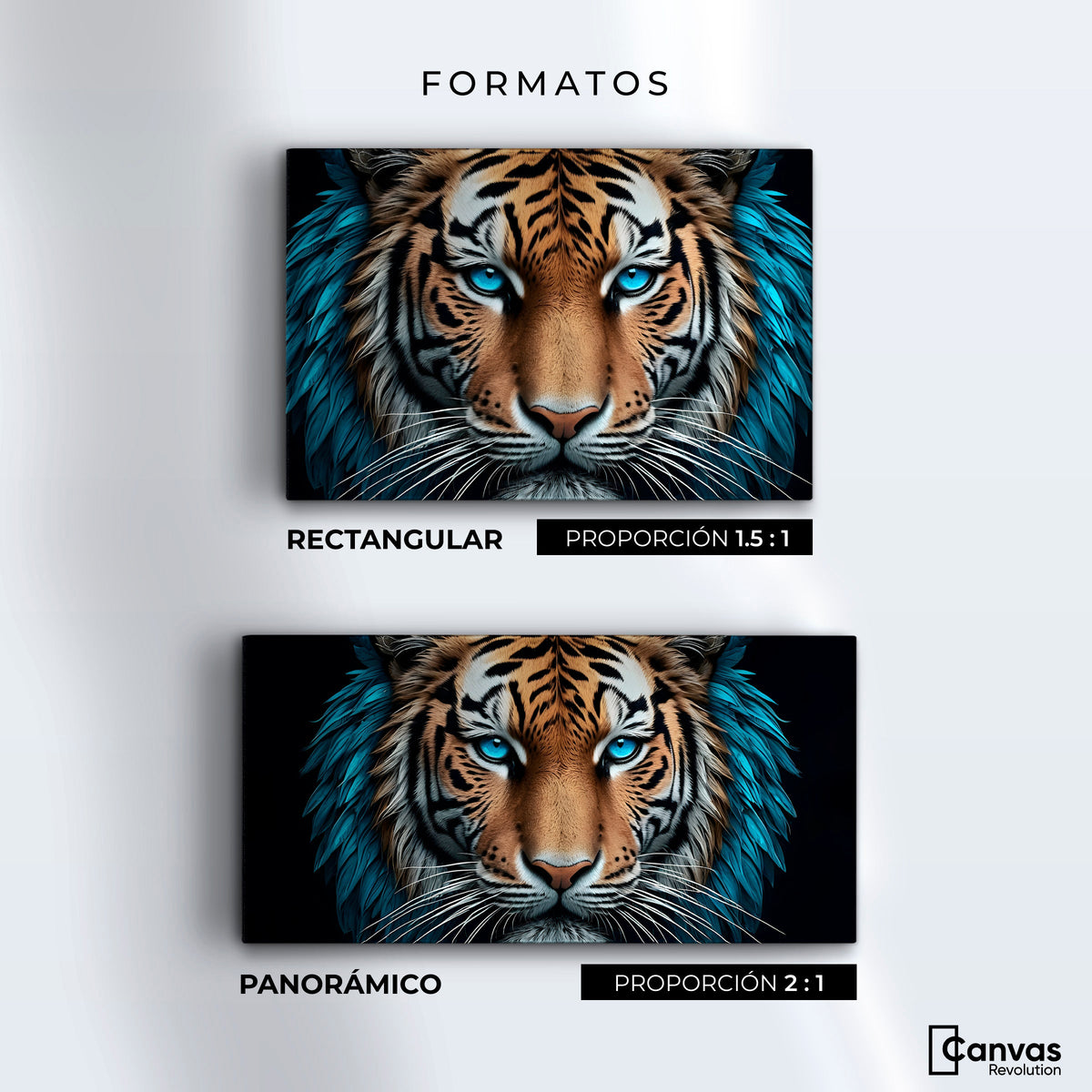 Cuadros Decorativos Canvas Revolution | Mirada Azul Salvaje | Formatos
