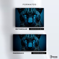 Cuadros Decorativos Canvas Revolution | Mirada Magistral | Formatos
