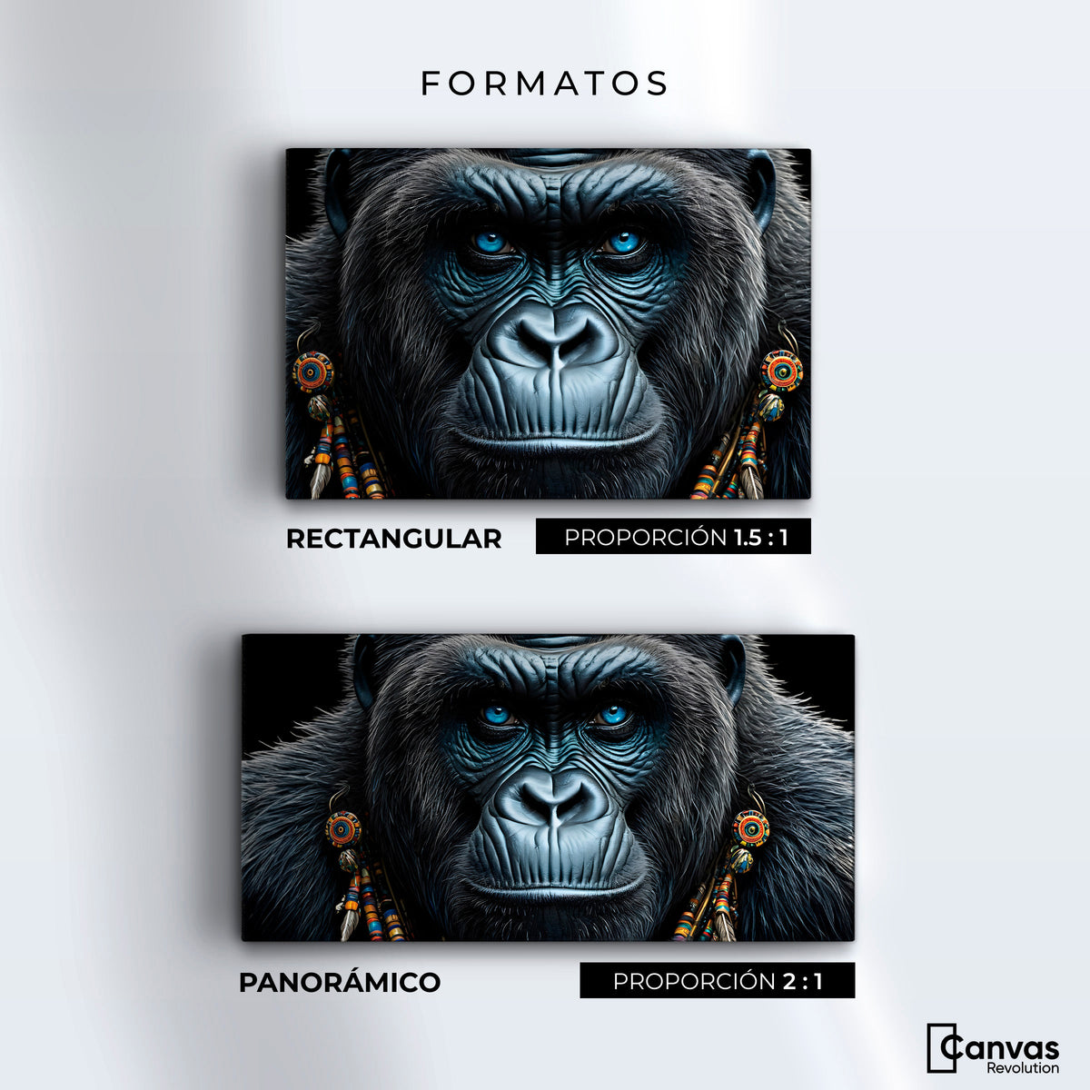 Cuadros Decorativos Canvas Revolution | Mirada Profunda | Formatos