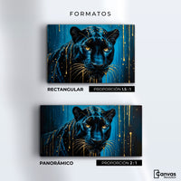 Cuadros Decorativos Canvas Revolution | Miradas Nocturas | Formatos