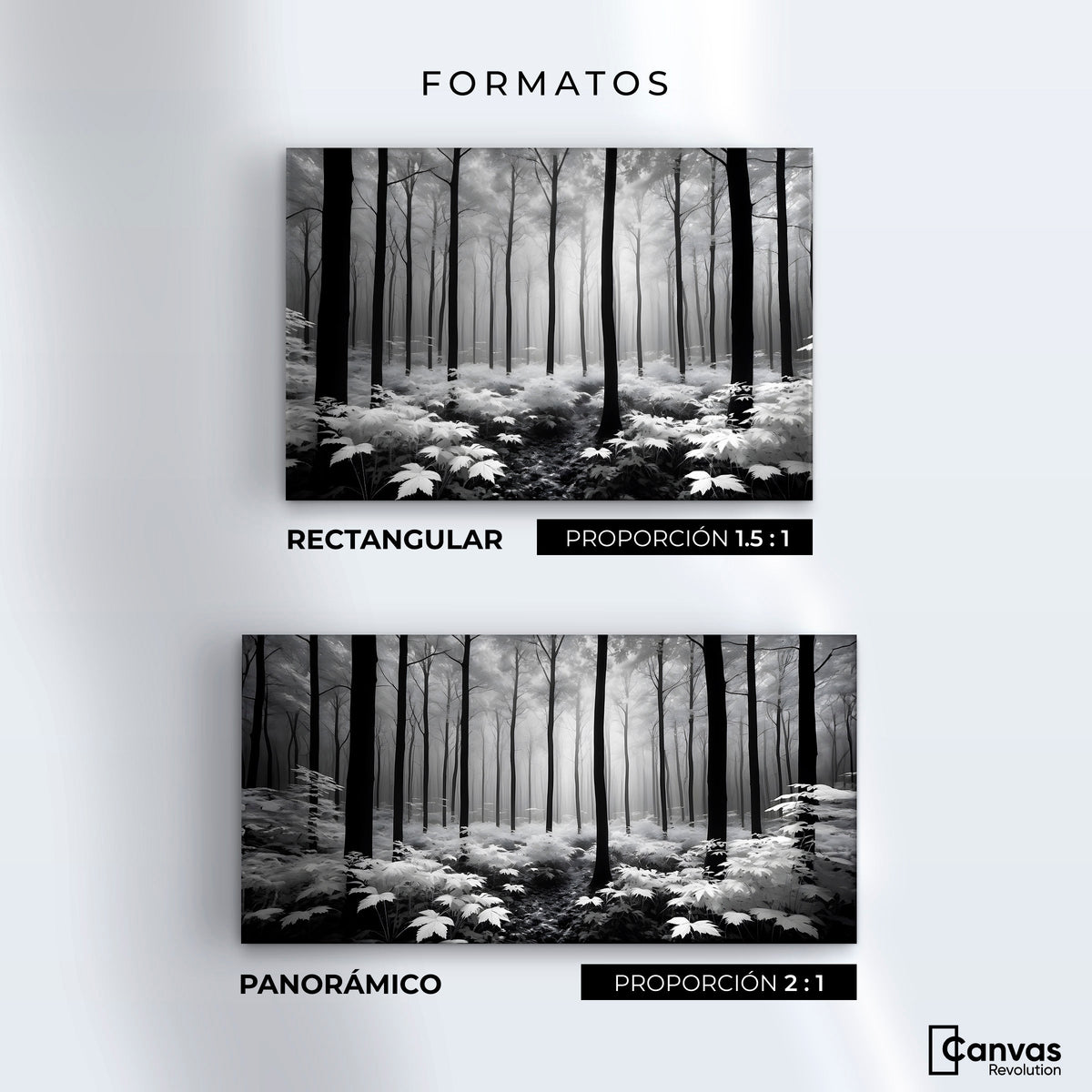 Cuadros Decorativos Canvas Revolution | Misterio En Bosque | Formatos