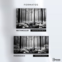 Cuadros Decorativos Canvas Revolution | Misterio En Bosque | Formatos
