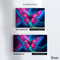 Cuadros Decorativos Canvas Revolution | Nebulosa Radiante | Formatos