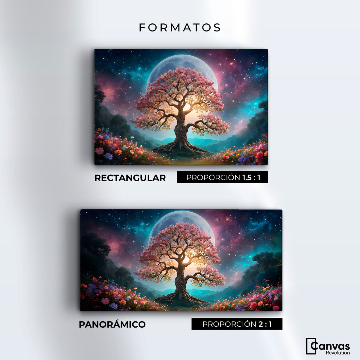 Cuadros Decorativos Canvas Revolution | Nocturno Floral | Formatos