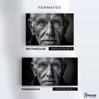 Cuadros Decorativos Canvas Revolution | Ojos De Historia | Formatos