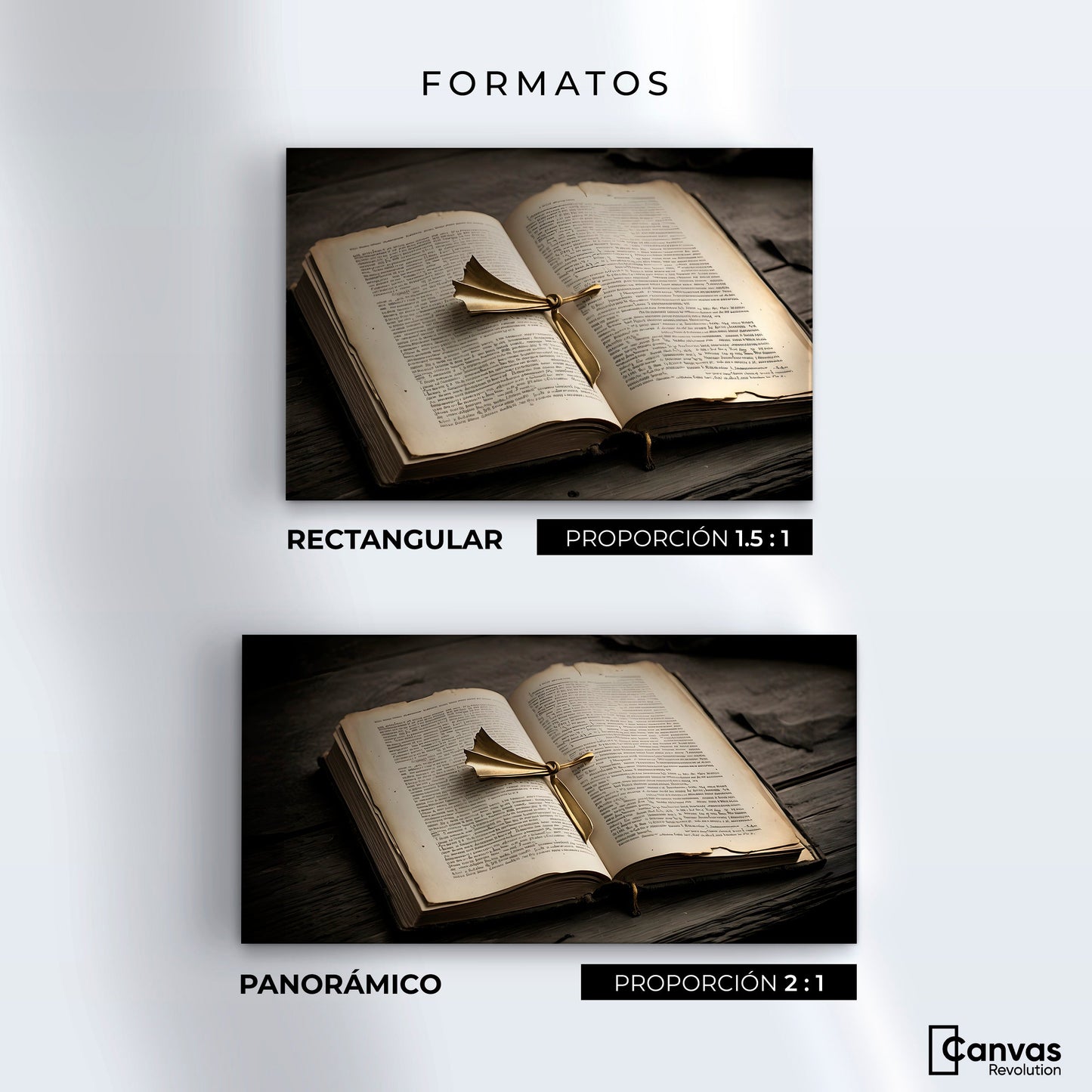 Cuadros Decorativos Canvas Revolution | Oro Entre Letras | Formatos