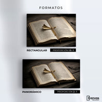 Cuadros Decorativos Canvas Revolution | Oro Entre Letras | Formatos
