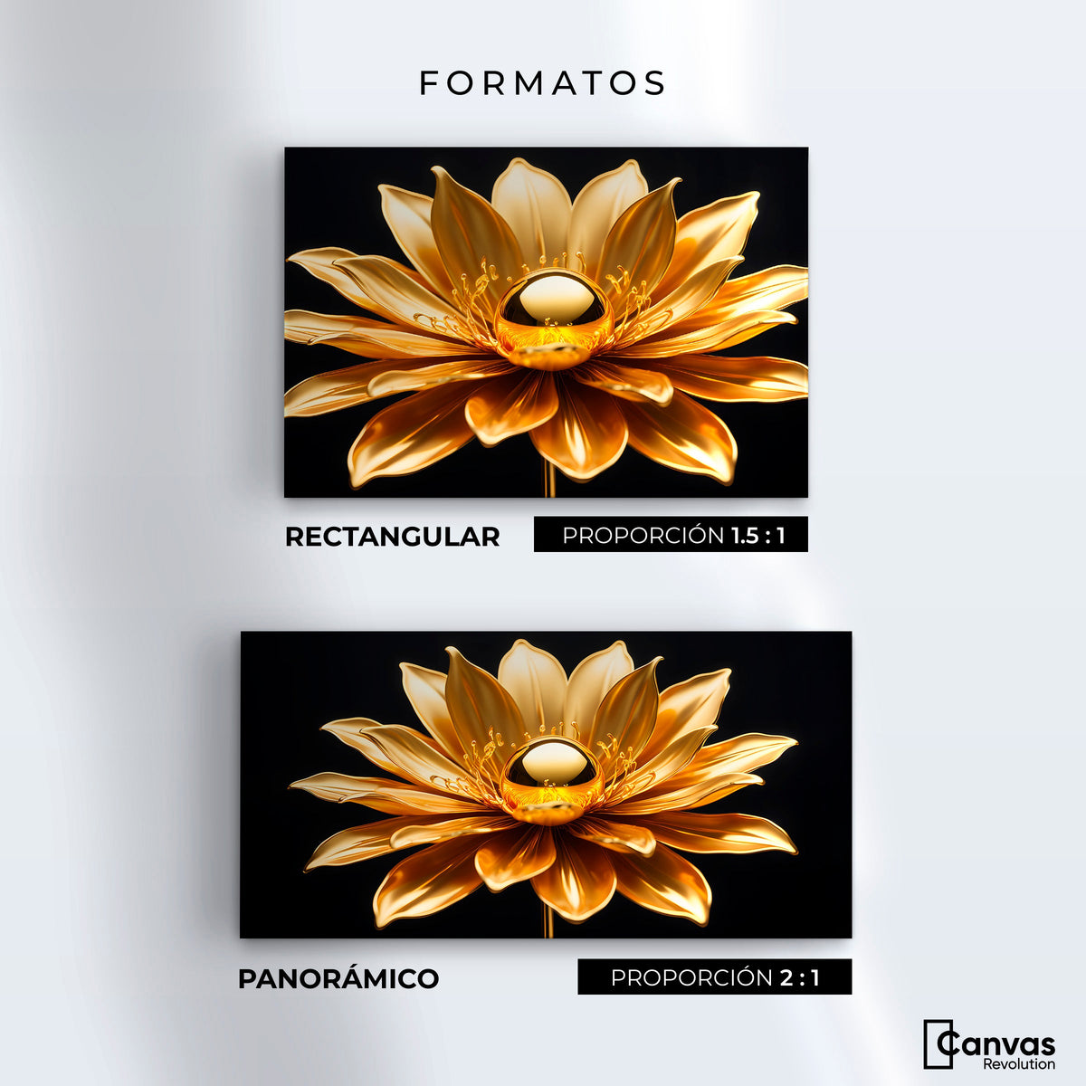 Cuadros Decorativos Canvas Revolution | Oro Flor Radiante | Formatos
