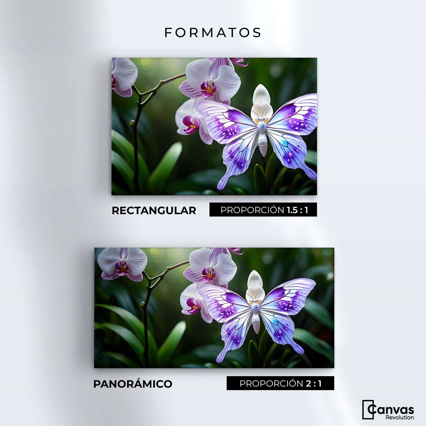 Cuadros Decorativos Canvas Revolution | Orquideas Y Alas | Formatos
