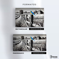 Cuadros Decorativos Canvas Revolution | Pajaro En Reposo | Formatos