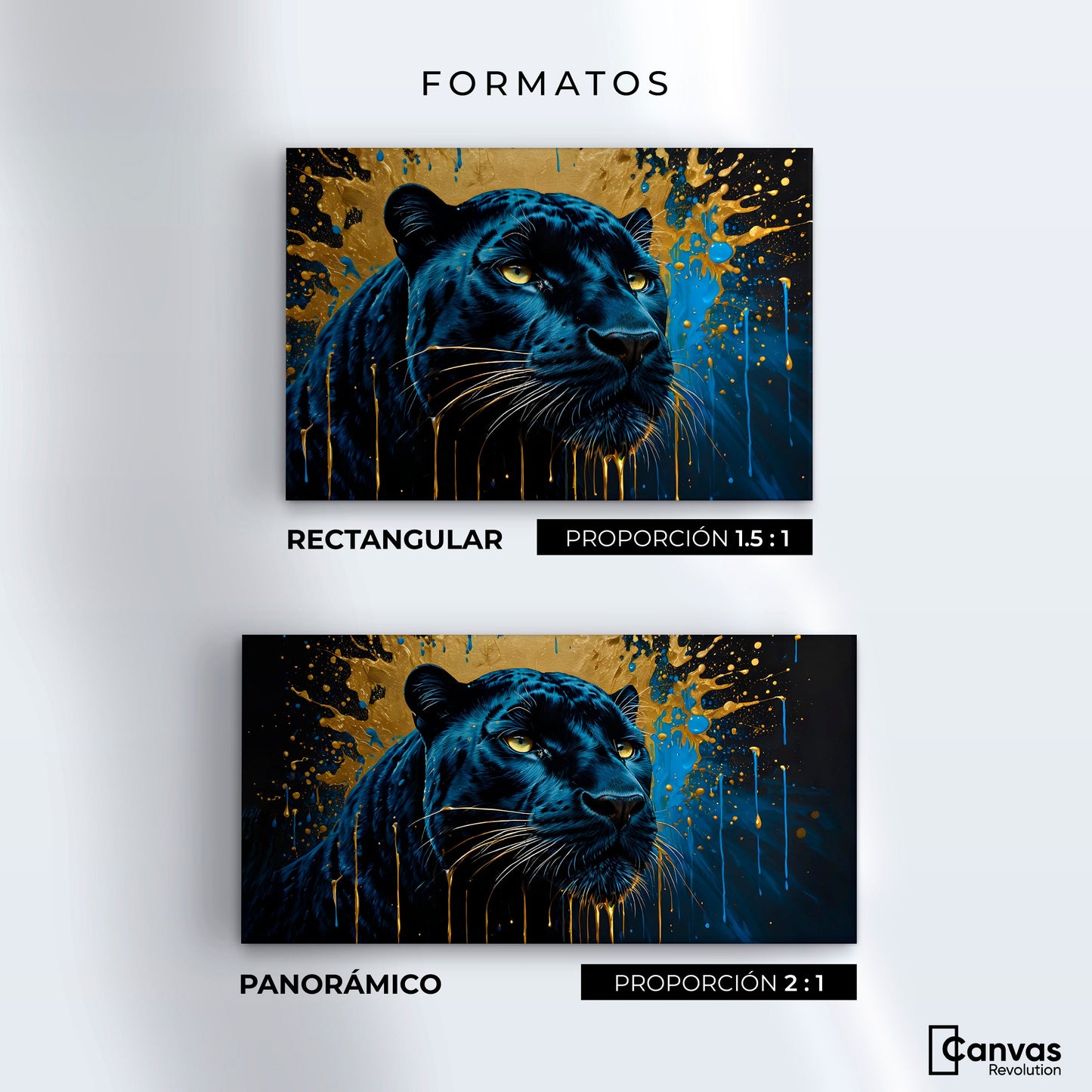 Cuadros Decorativos Canvas Revolution | Pantera Celestial | Formatos