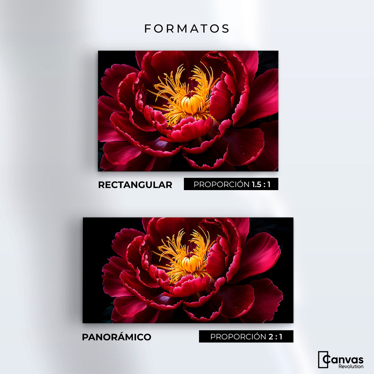 Cuadros Decorativos Canvas Revolution | Peonia Dualidad | Formatos