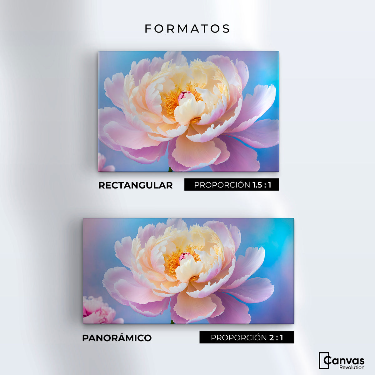Cuadros Decorativos Canvas Revolution | Peonia Luz Eterna | Formatos