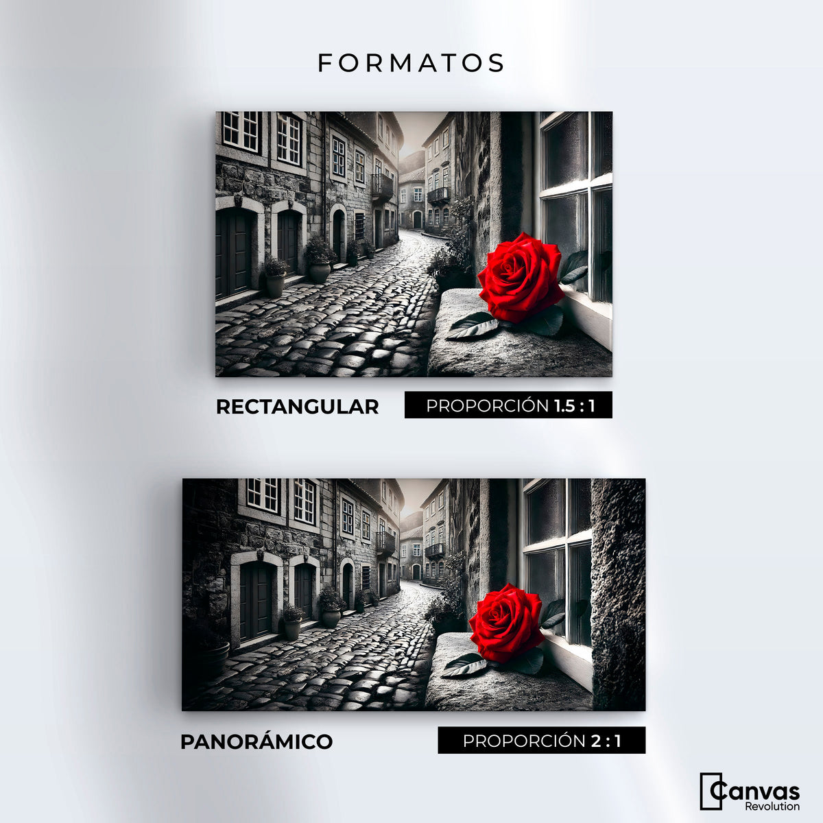 Cuadros Decorativos Canvas Revolution | Piedras Y Petalos | Formatos