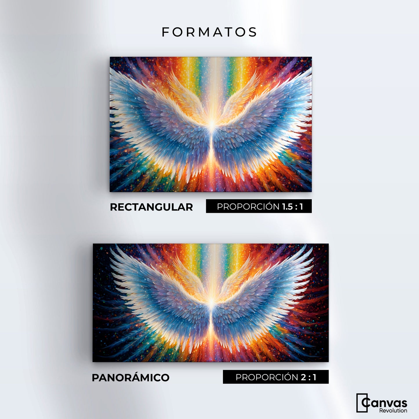 Cuadros Decorativos Canvas Revolution | Plumas De Luz | Formatos