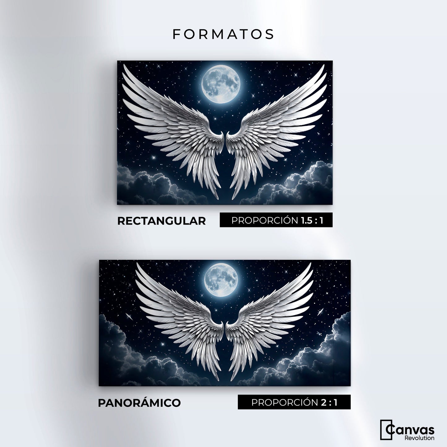 Cuadros Decorativos Canvas Revolution | Plumas Del Alma | Formatos