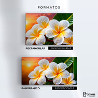 Cuadros Decorativos Canvas Revolution | Plumeria Luz Serena | Formatos