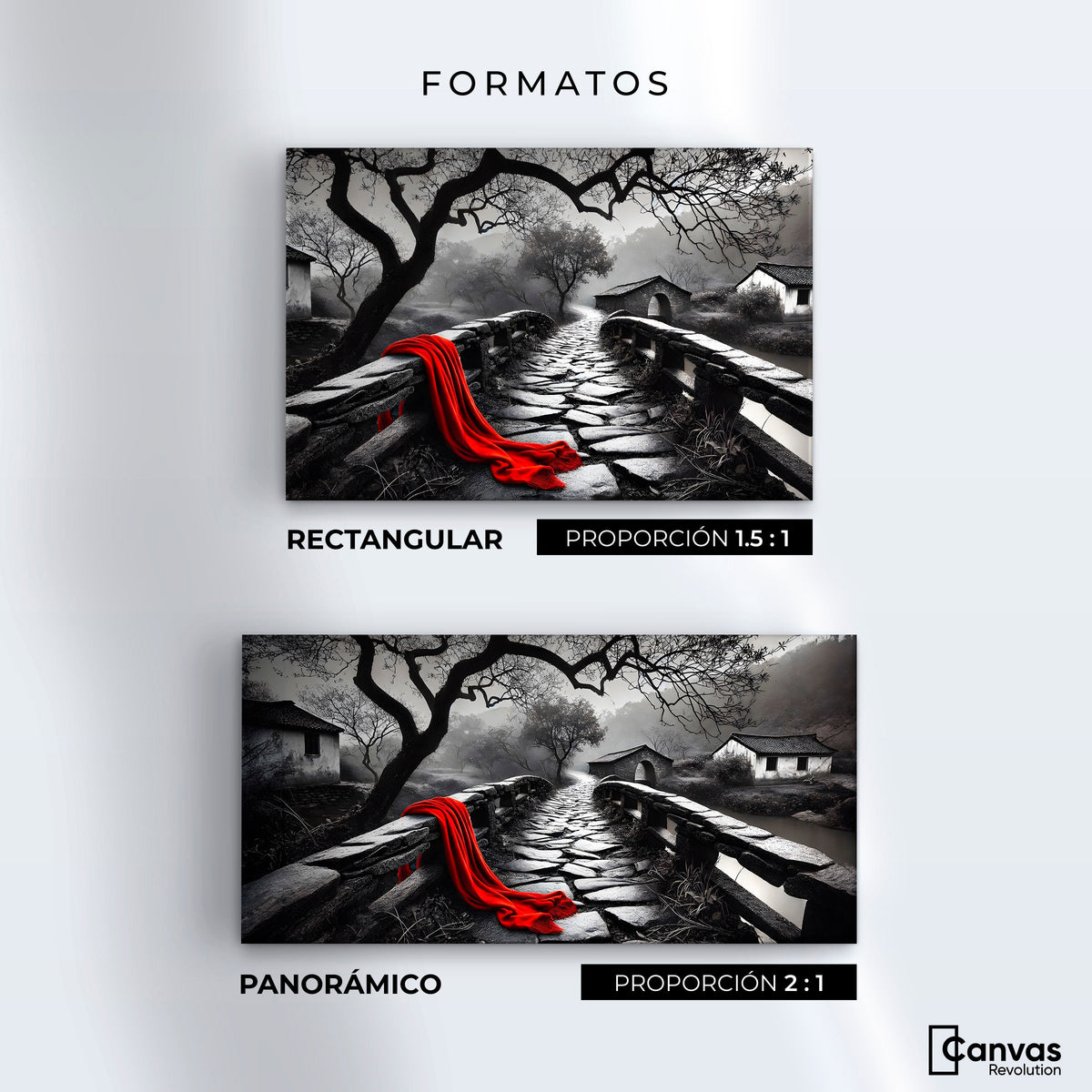 Cuadros Decorativos Canvas Revolution | Puente De Pasion | Formatos