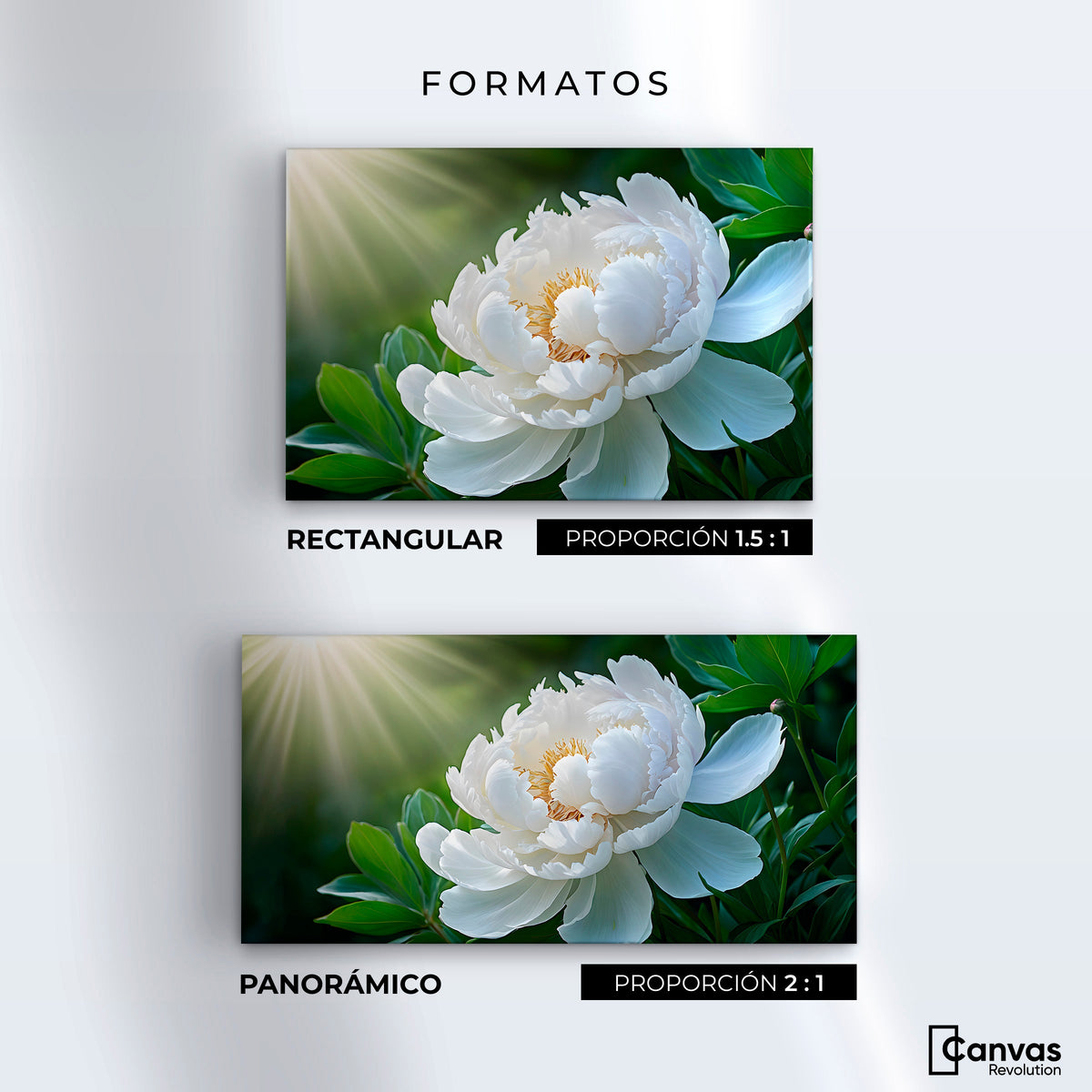 Cuadros Decorativos Canvas Revolution | Rayos De Peonia | Formatos