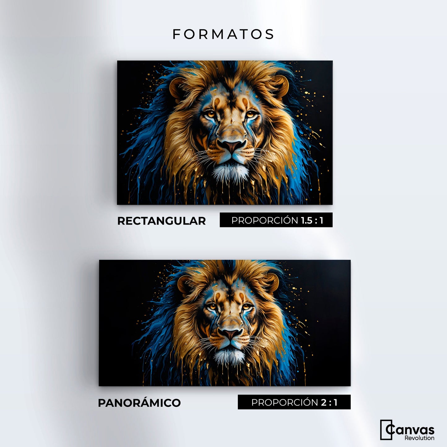 Cuadros Decorativos Canvas Revolution | Rey Majestuosidad | Formatos