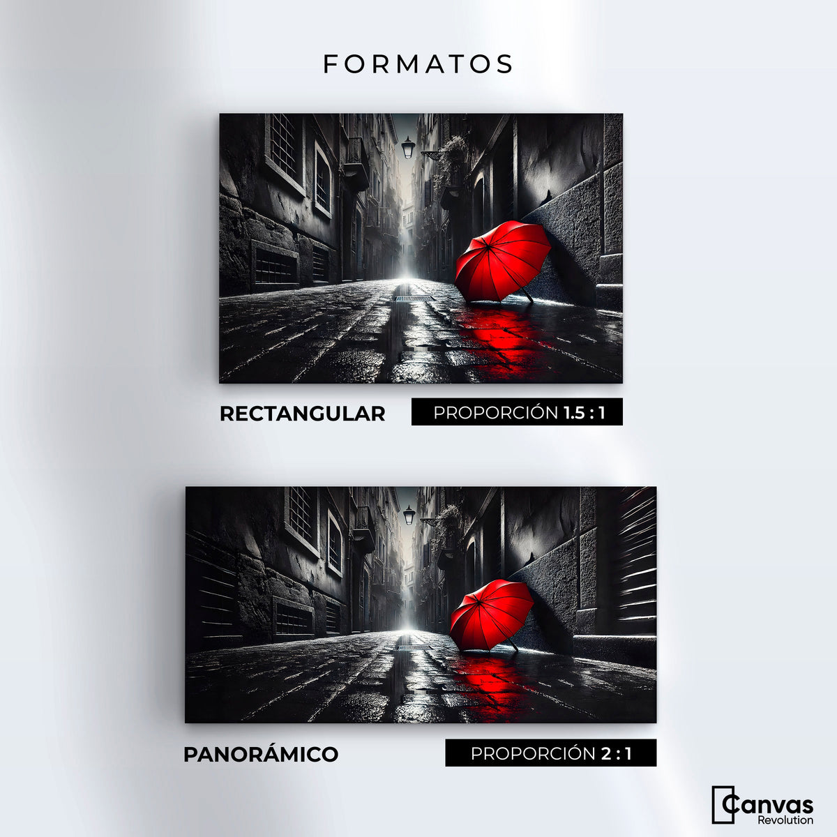 Cuadros Decorativos Canvas Revolution | Rojo Al Viento | Formatos