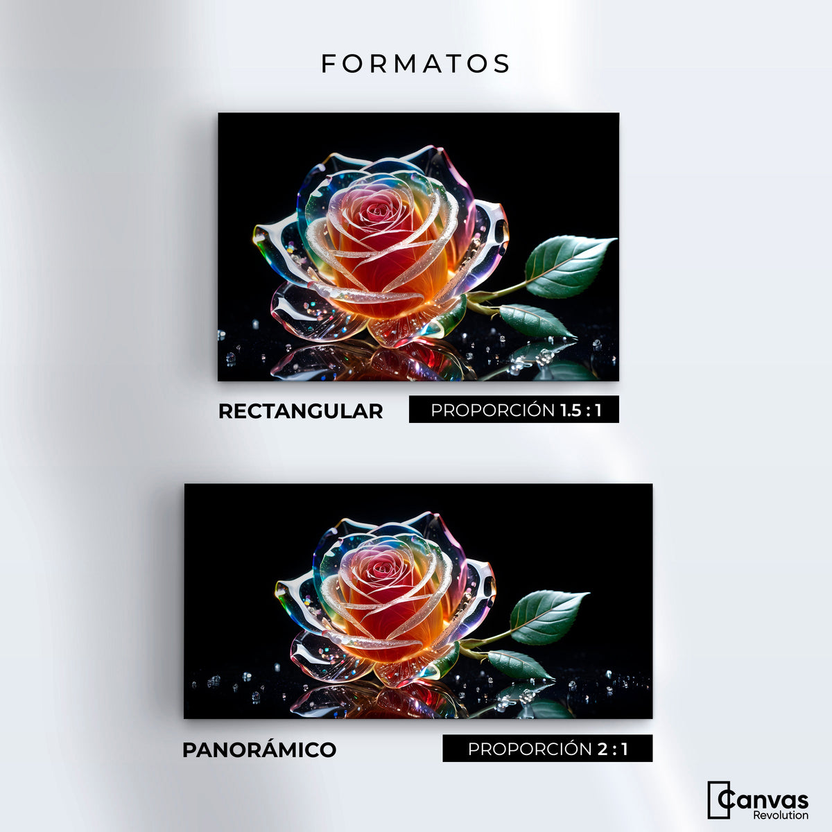 Cuadros Decorativos Canvas Revolution | Rosa Cristal Puro | Formatos