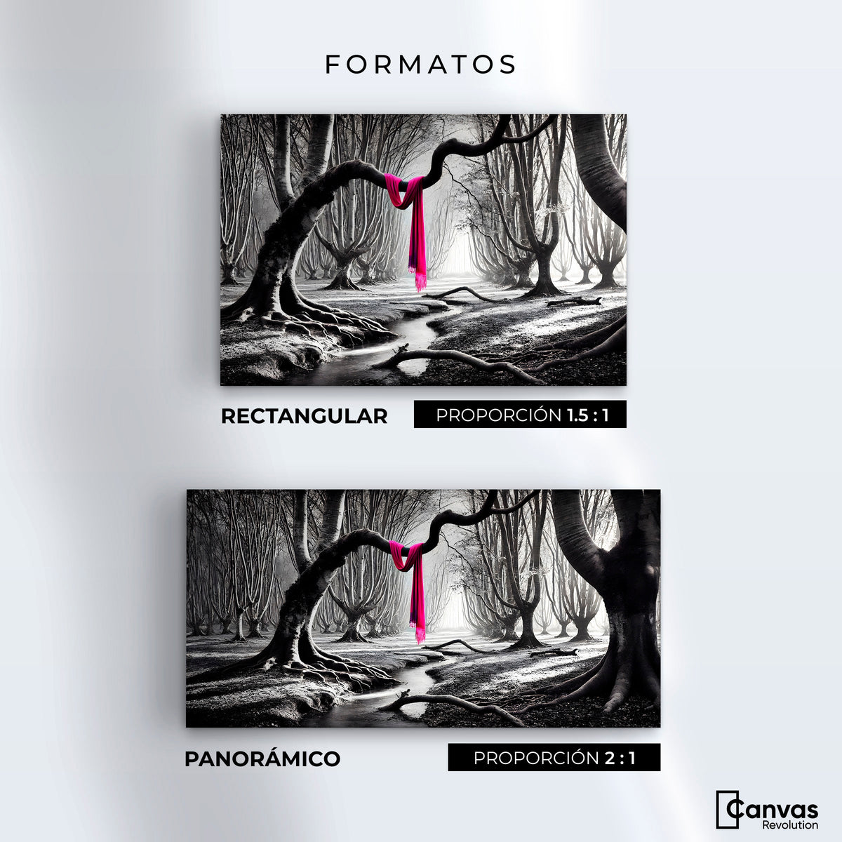 Cuadros Decorativos Canvas Revolution | Rosa Entre Raices | Formatos