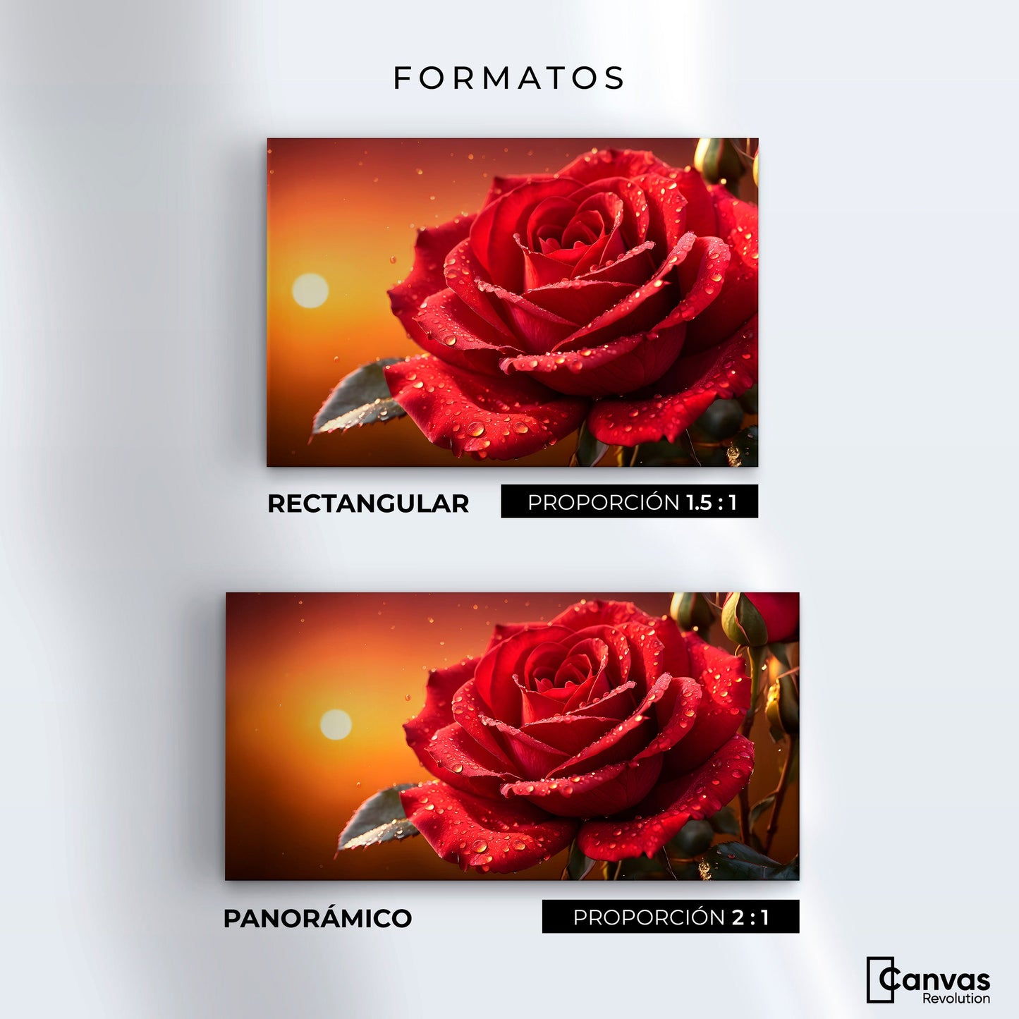 Cuadros Decorativos Canvas Revolution | Rosa Escarlata Viva | Formatos