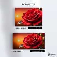 Cuadros Decorativos Canvas Revolution | Rosa Escarlata Viva | Formatos