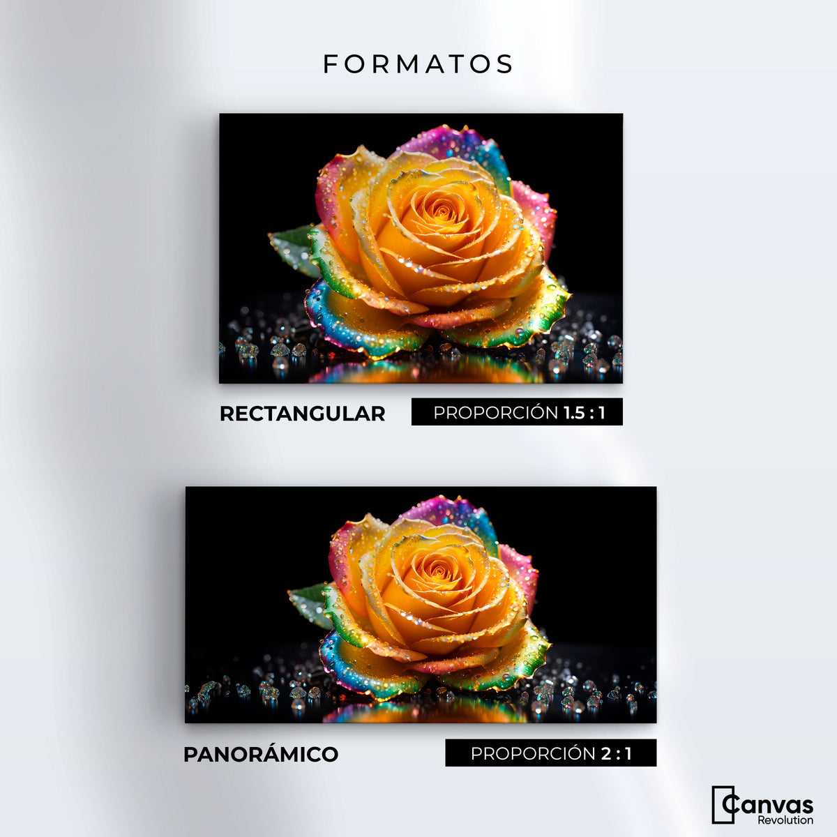 Cuadros Decorativos Canvas Revolution | Rosa Multicolor | Formatos