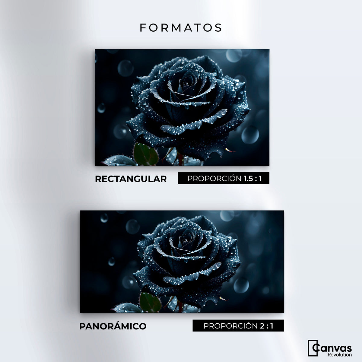 Cuadros Decorativos Canvas Revolution | Rosa Negra Poderosa | Formatos
