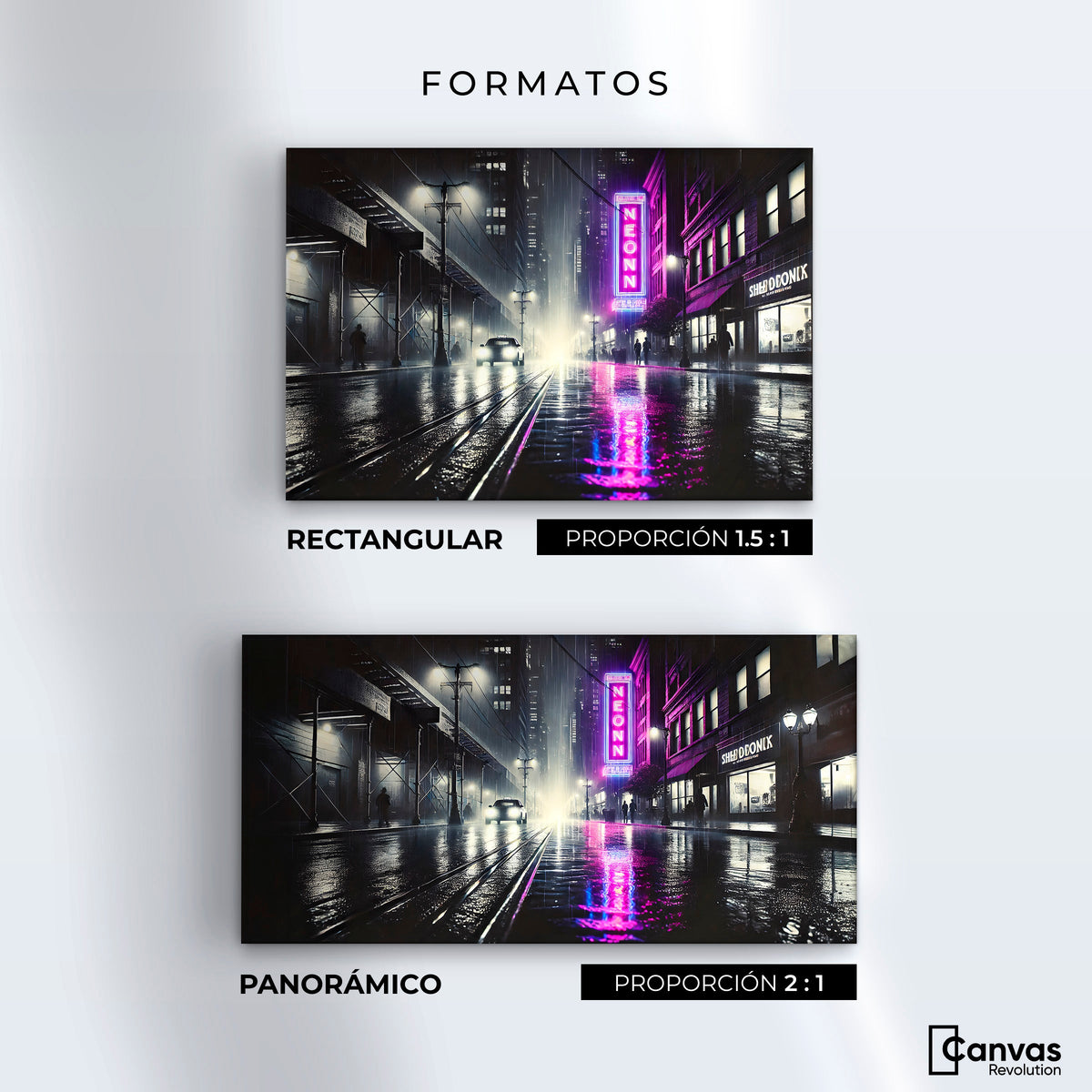 Cuadros Decorativos Canvas Revolution | Rosa Nocturno | Formatos