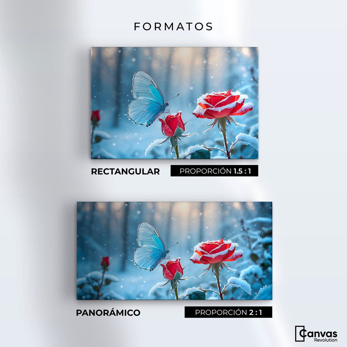 Cuadros Decorativos Canvas Revolution | Rosa Y Fragilidad | Formatos