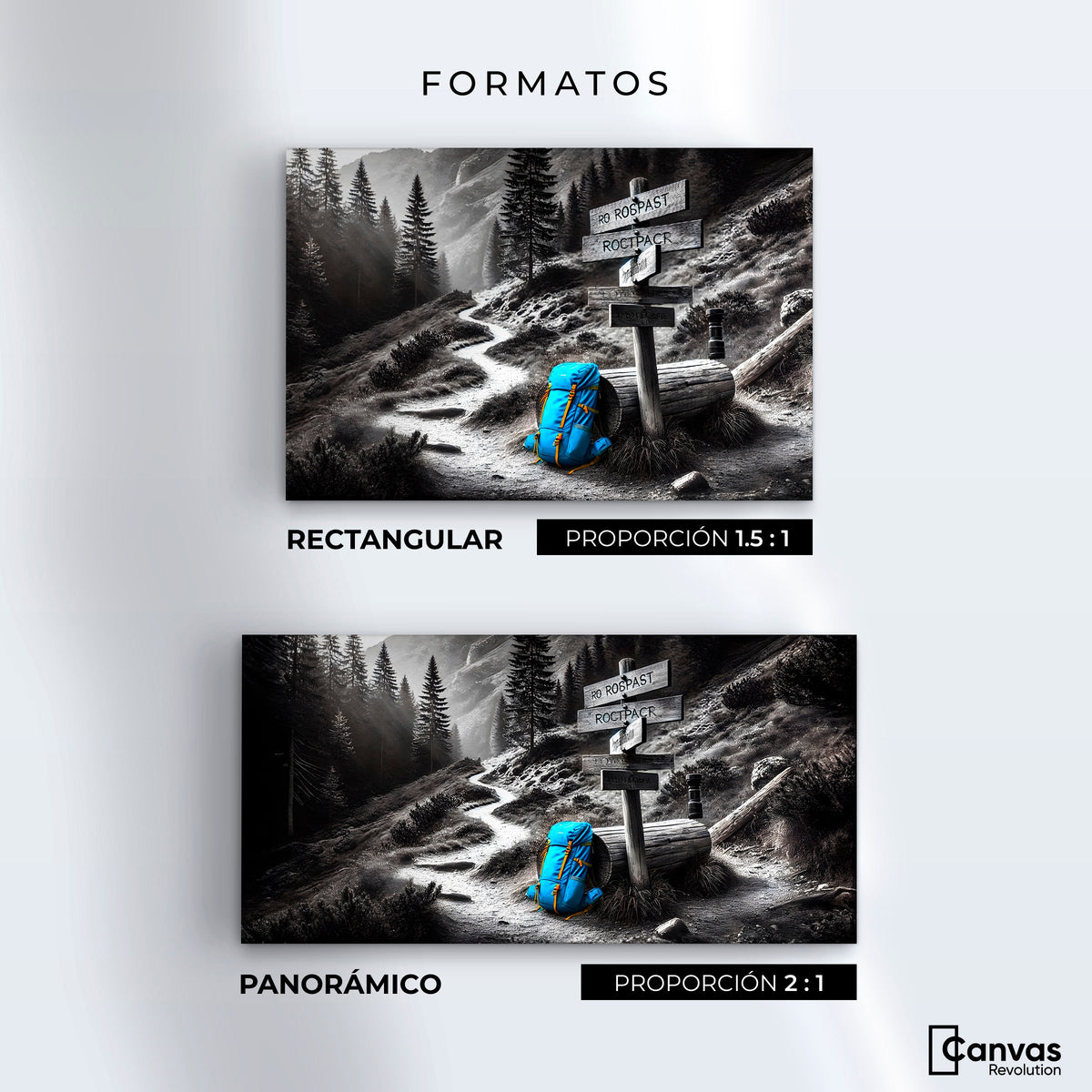 Cuadros Decorativos Canvas Revolution | Rumbo Al Bosque | Formatos