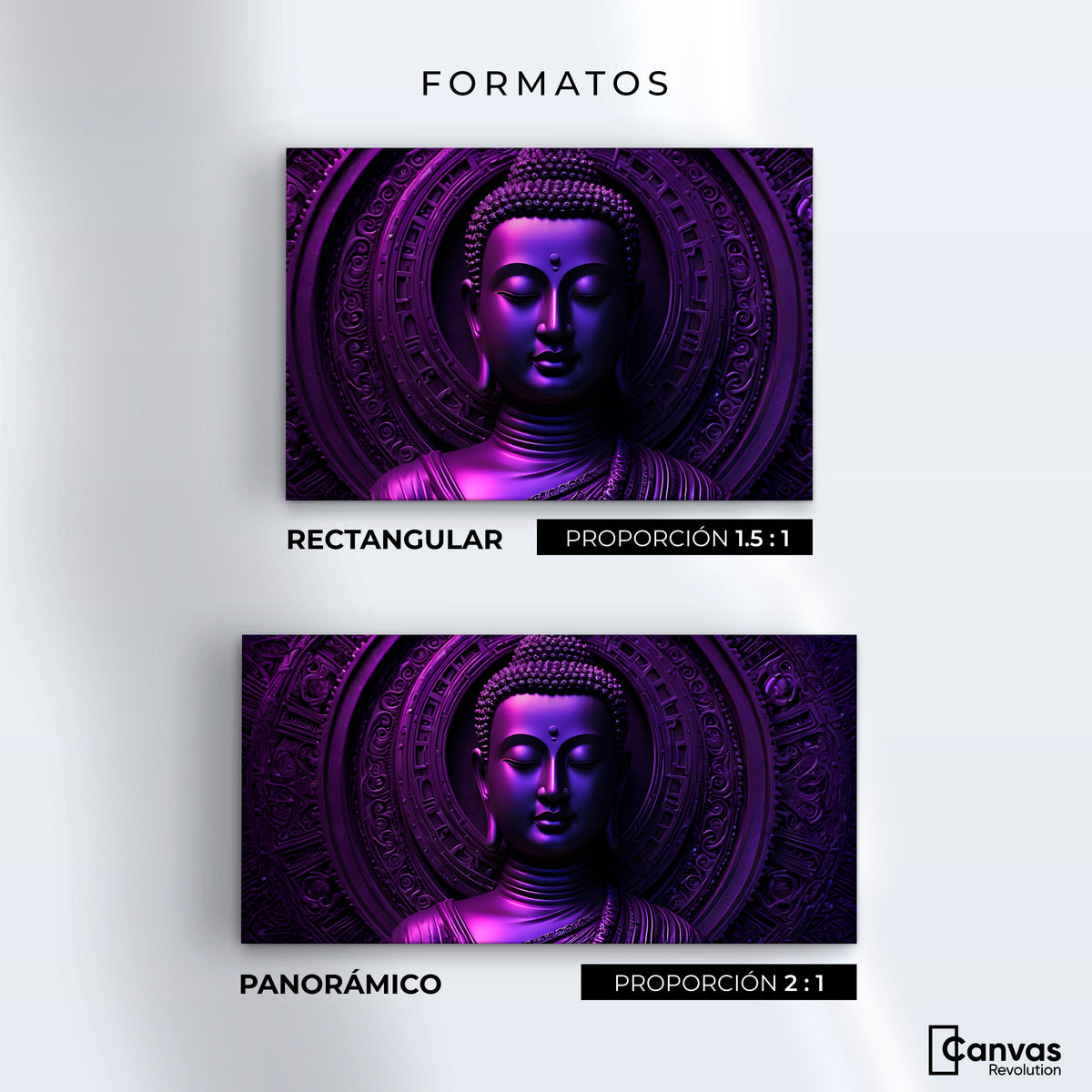 Cuadros Decorativos Canvas Revolution | Sinfonia Purpura | Formatos