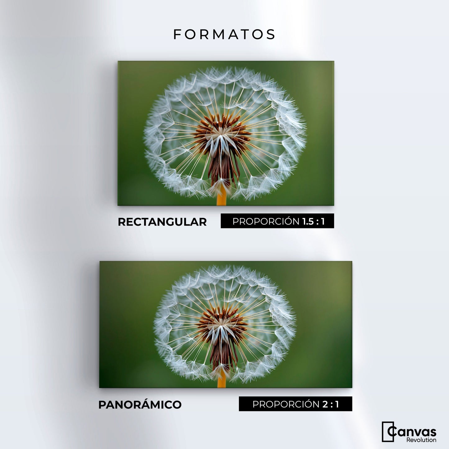 Cuadros Decorativos Canvas Revolution | Sueno En Vuelo | Formatos