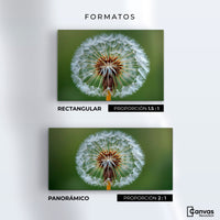 Cuadros Decorativos Canvas Revolution | Sueno En Vuelo | Formatos