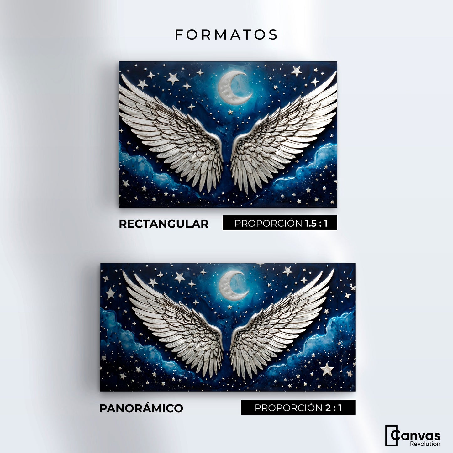 Cuadros Decorativos Canvas Revolution | Suenos Alados | Formatos