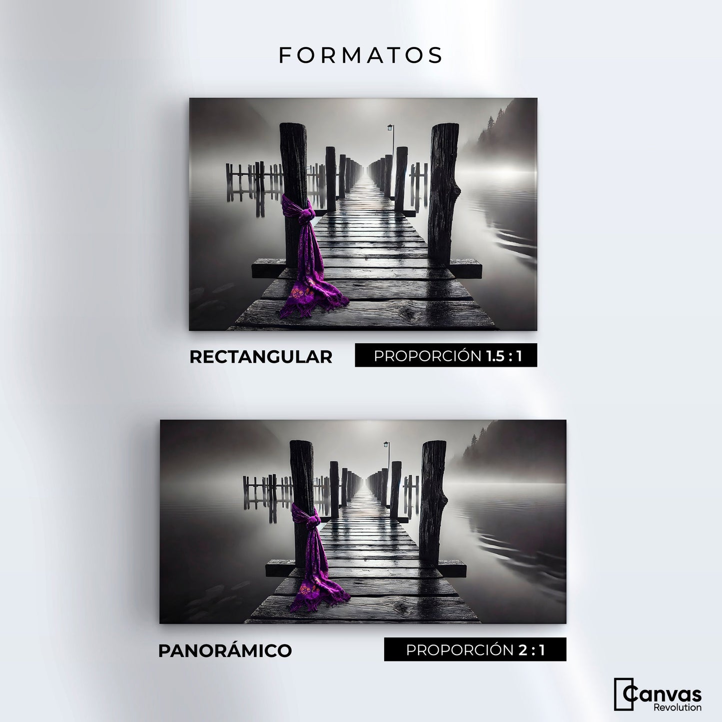 Cuadros Decorativos Canvas Revolution | Tela Al Viento | Formatos