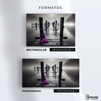 Cuadros Decorativos Canvas Revolution | Tela Al Viento | Formatos