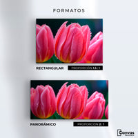 Cuadros Decorativos Canvas Revolution | Tulipanes Rosa Vivo | Formatos