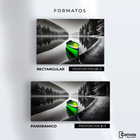 Cuadros Decorativos Canvas Revolution | Verde En El Lago | Formatos