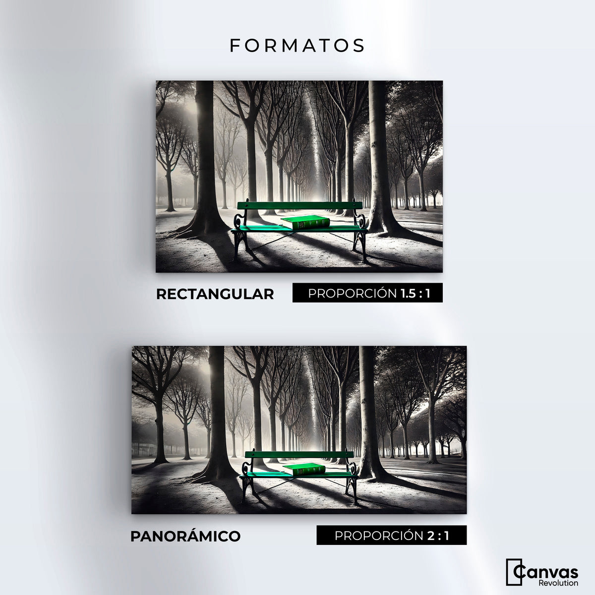 Cuadros Decorativos Canvas Revolution | Verde Y Palabras | Formatos