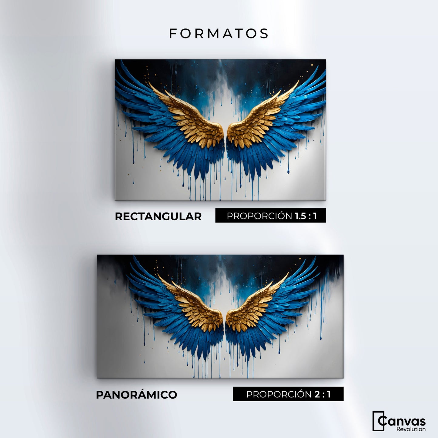 Cuadros Decorativos Canvas Revolution | Vuelo Celestial | Formatos