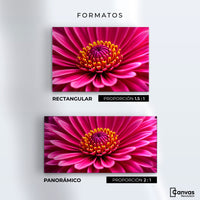 Cuadros Decorativos Canvas Revolution | Zinnia Magia Rosa | Formatos