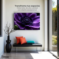 Cuadros Decorativos Canvas Revolution | Anemona Violeta | Montaje1
