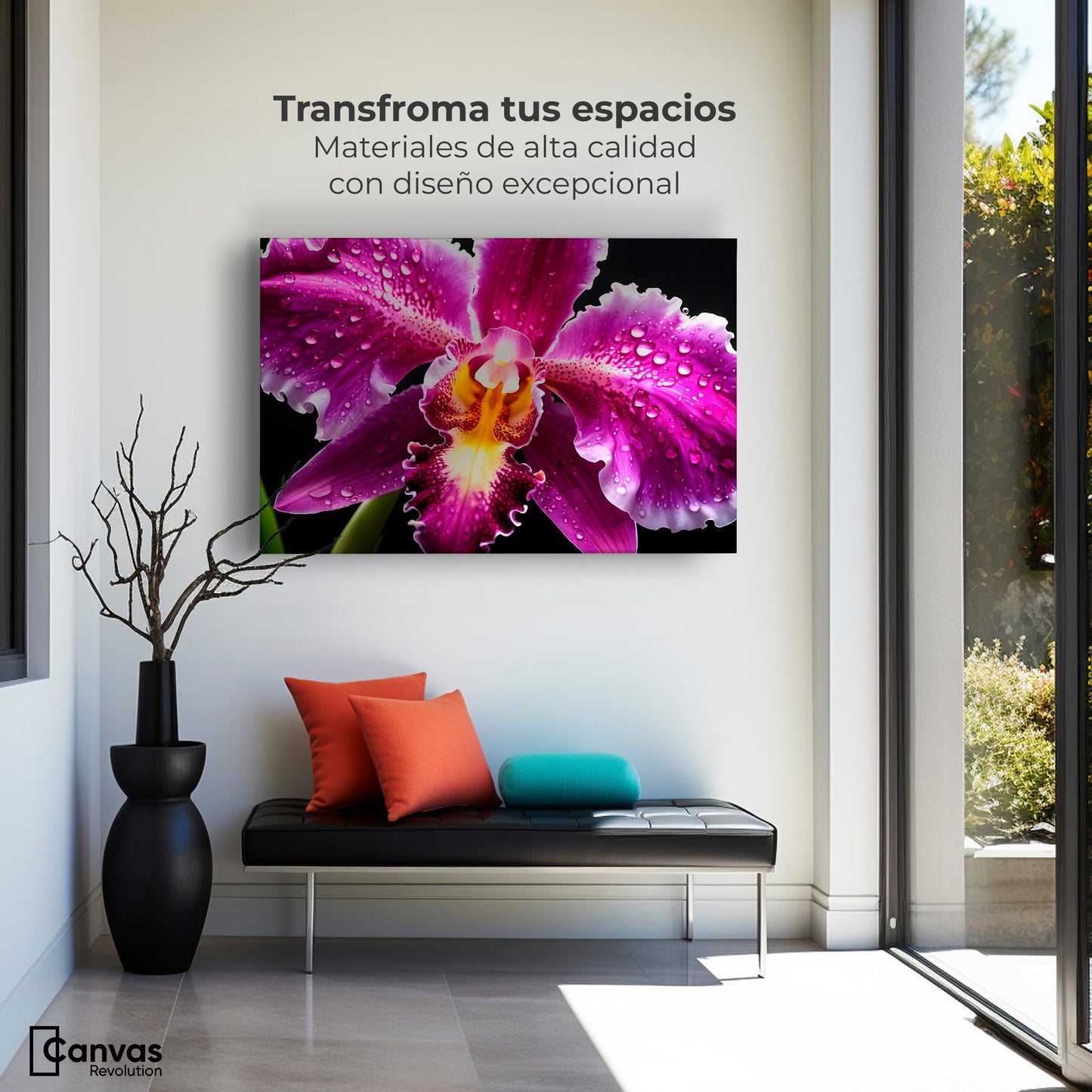 Cuadros Decorativos Canvas Revolution | Brillo De Cattleya | Montaje1