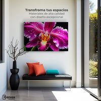 Cuadros Decorativos Canvas Revolution | Brillo De Cattleya | Montaje1