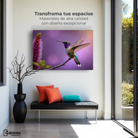 Cuadros Decorativos Canvas Revolution | Colibri Floresta | Montaje1